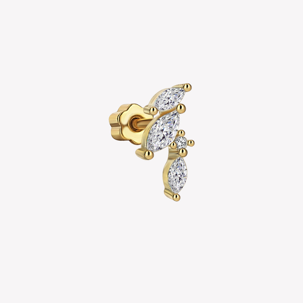 Overa Tragus