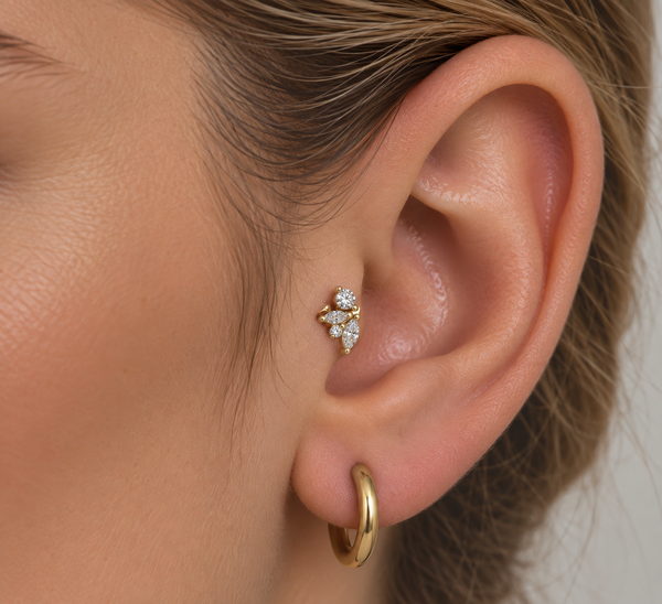Sole Tragus Küpe