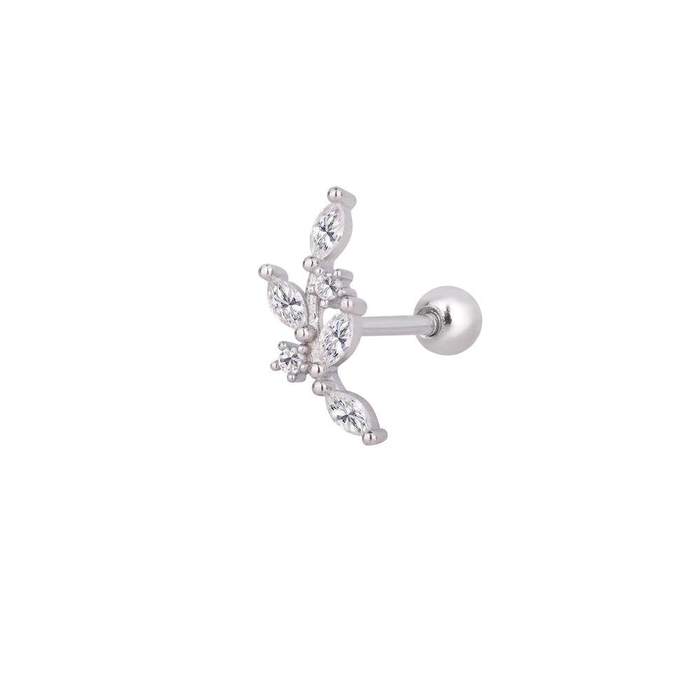 Auréva Tragus