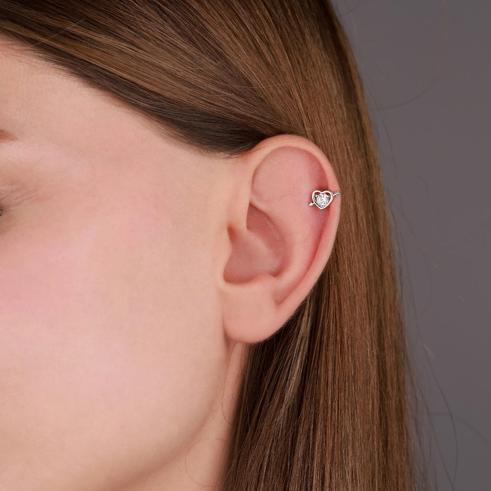 Cárdia Tragus