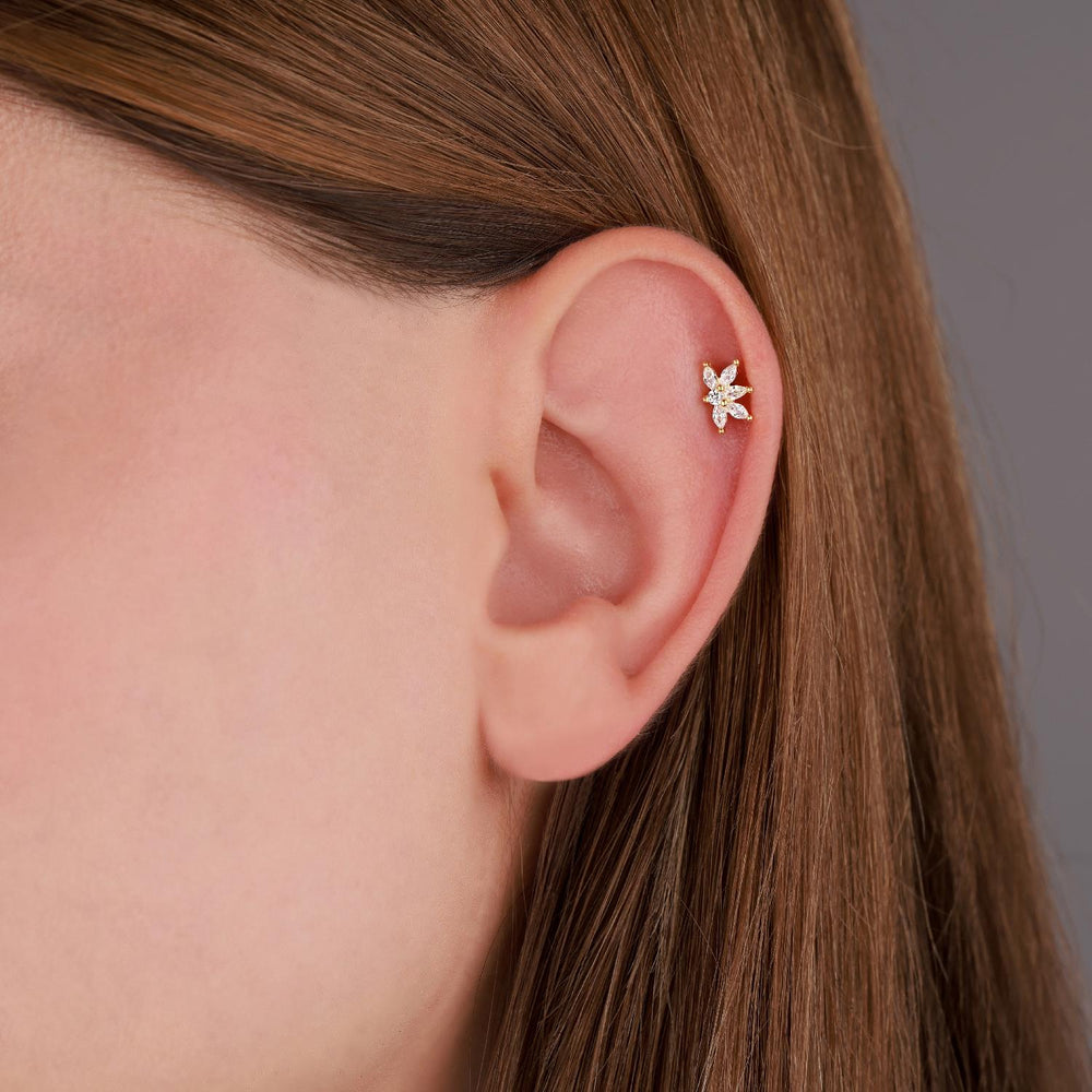 Florenza Tragus