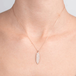 Pluma Kolye