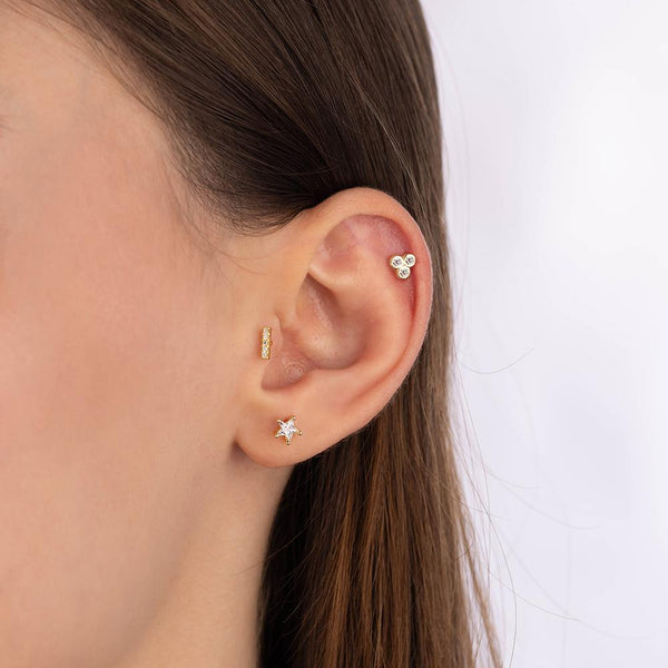 Zyrelia Tragus