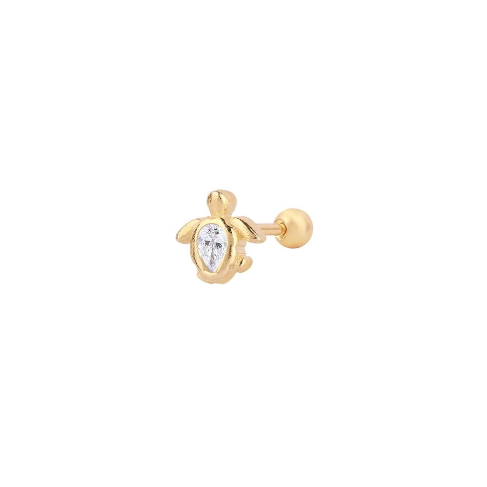 Tortuga Tragus 