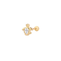 Tortuga Tragus 