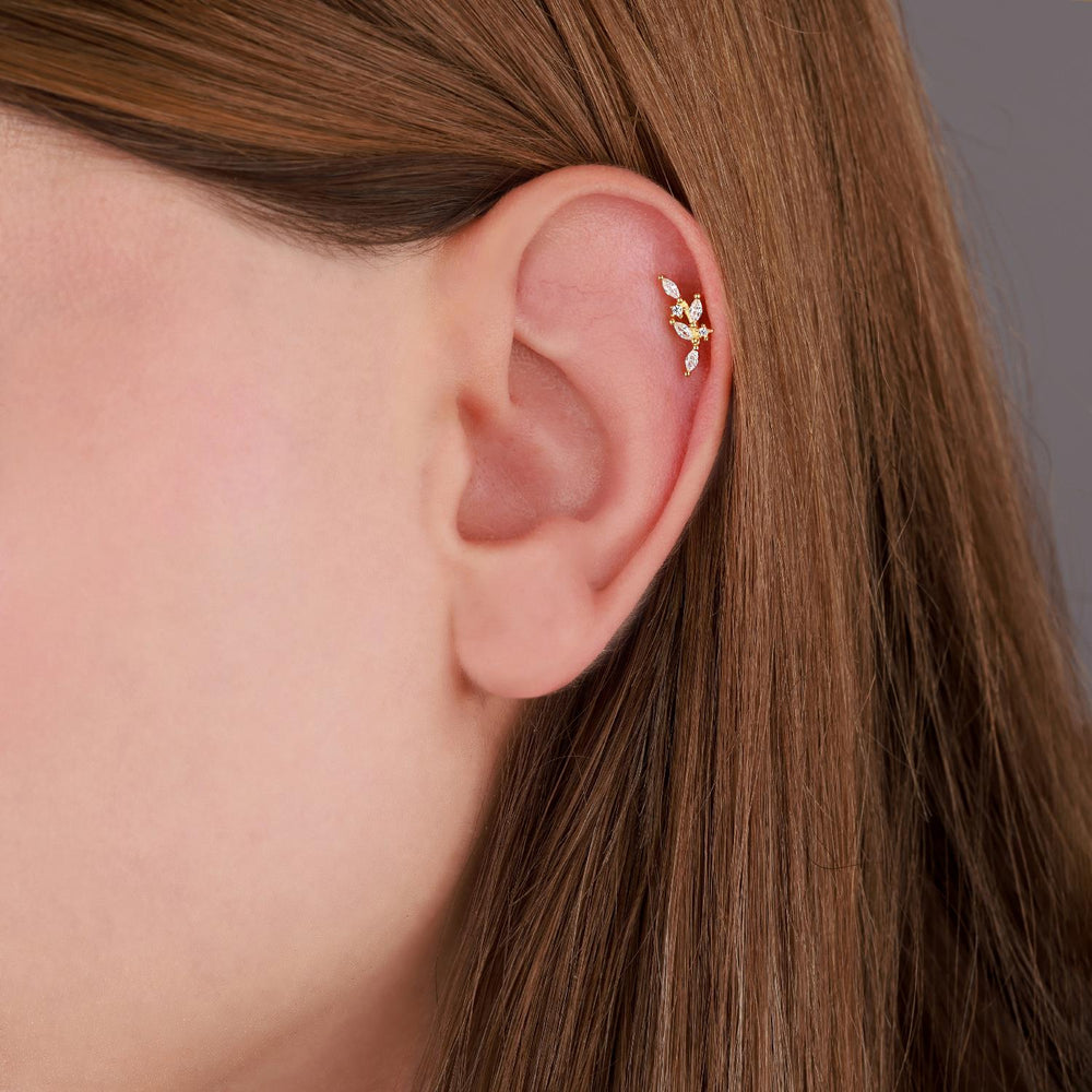 Overa Tragus