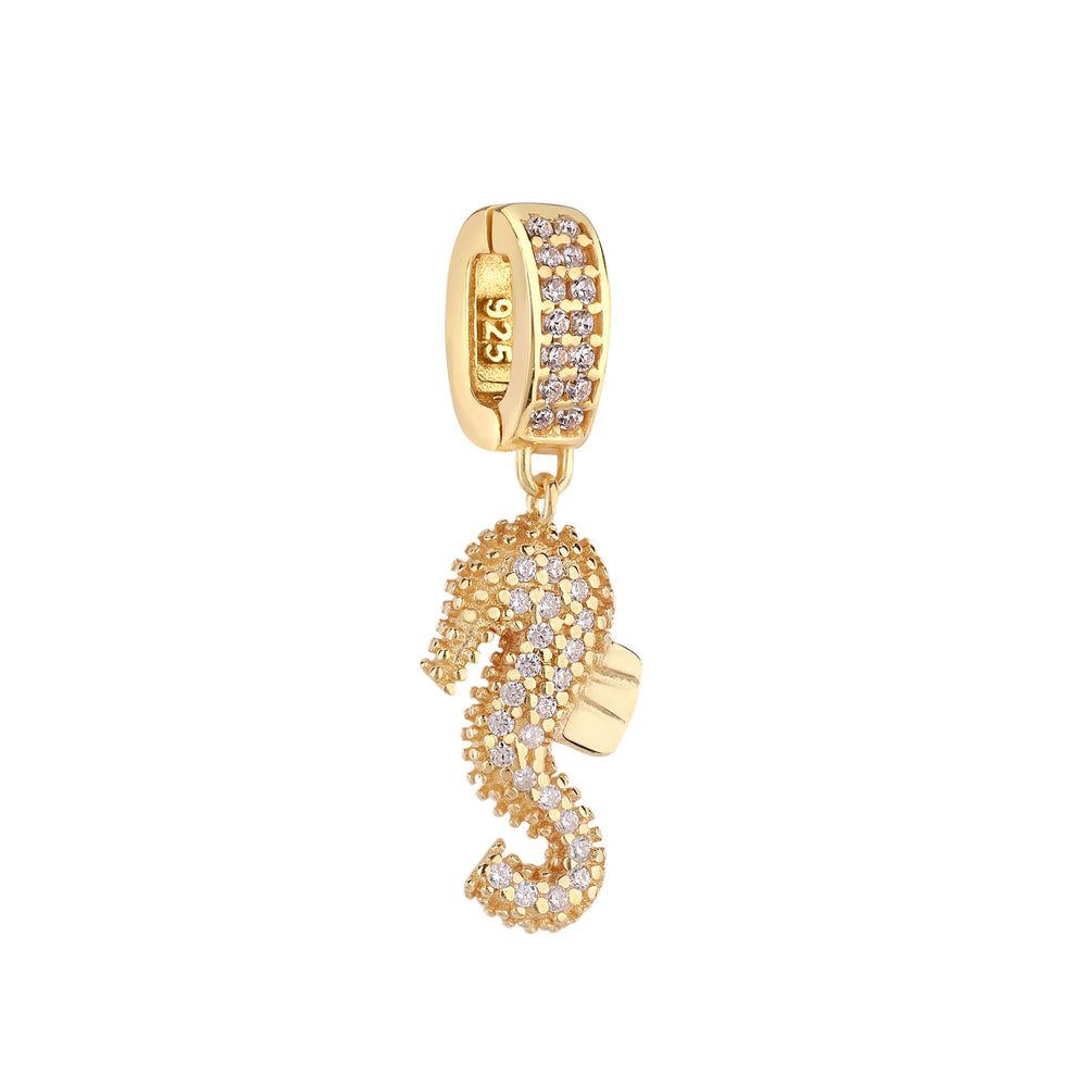 Denizatı Taşlı Charm