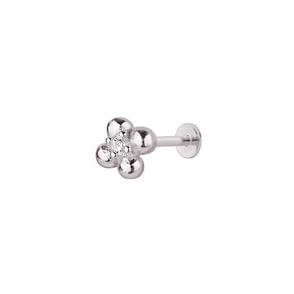 Clovén Tragus 