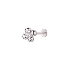 Clovén Tragus 