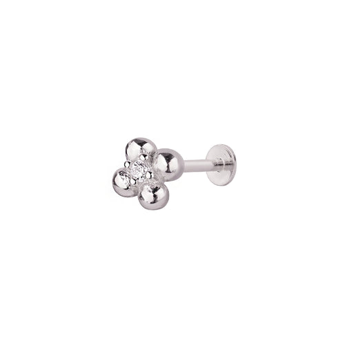 Clovén Tragus 
