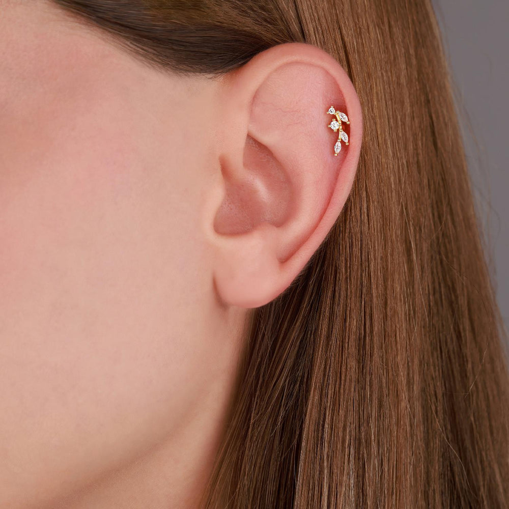 Auréva Tragus