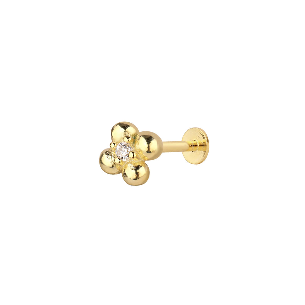 Clovén Tragus 