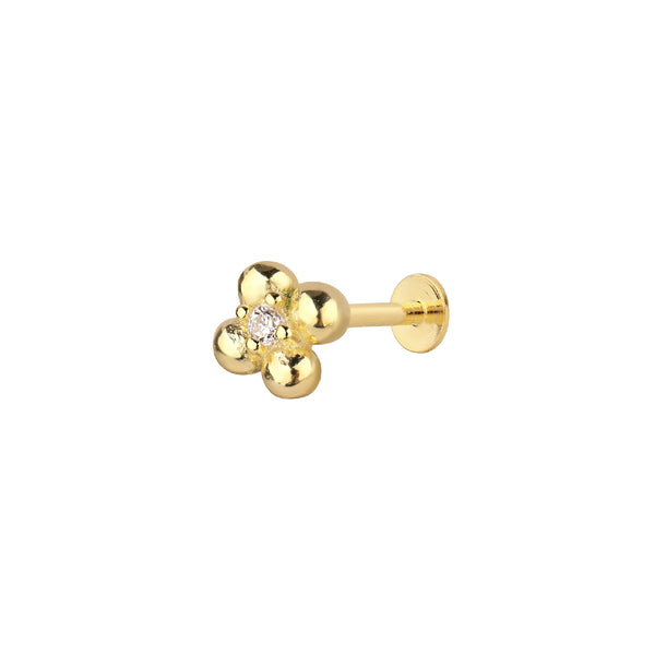Clovén Tragus 