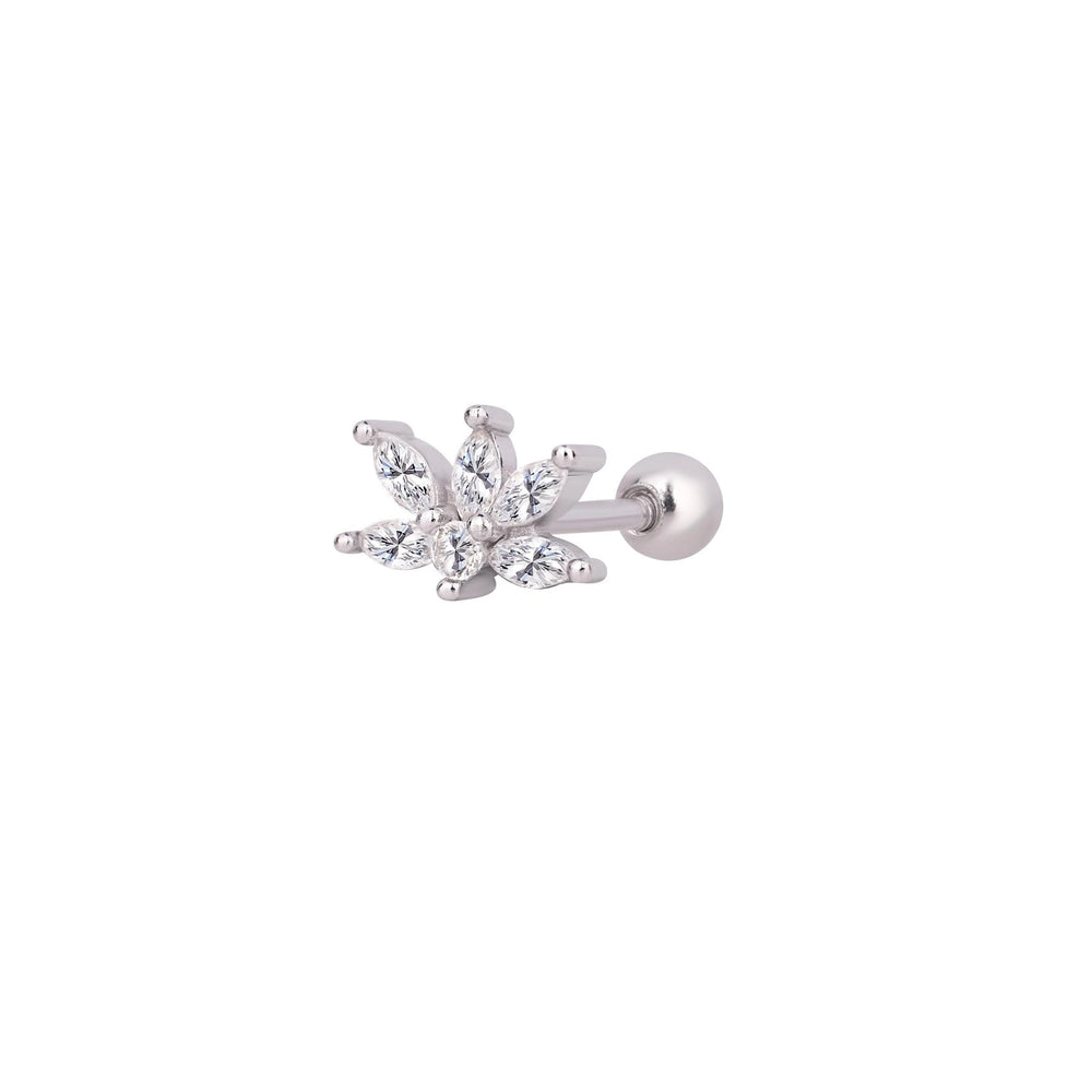 Florenza Tragus