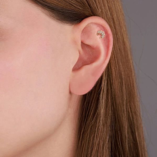 Lunéa Tragus 