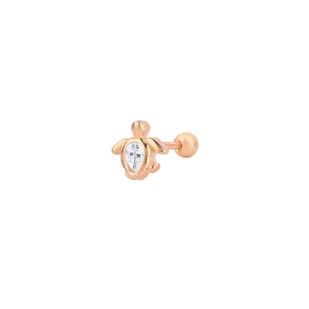 Tortuga Tragus 