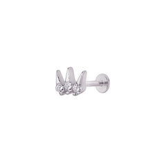 Triara Tragus
