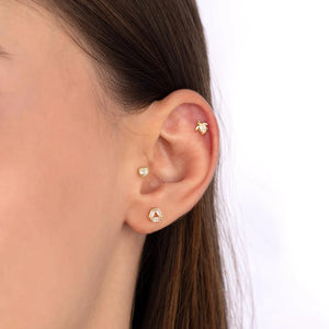 Prisma Tragus