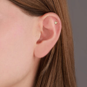 Clovén Tragus 