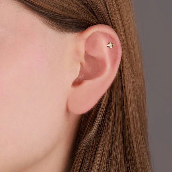 Clovén Tragus 