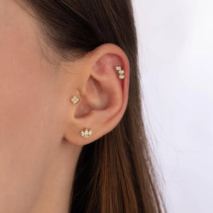 Floriva Tragus 