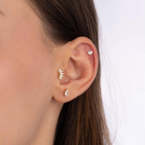 Nerina Tragus