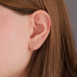Triara Tragus